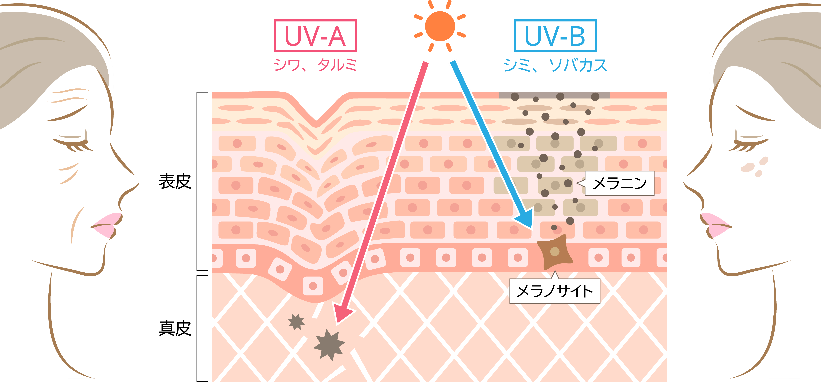 日積算UV-B量の年平均推移(kJ/㎡)