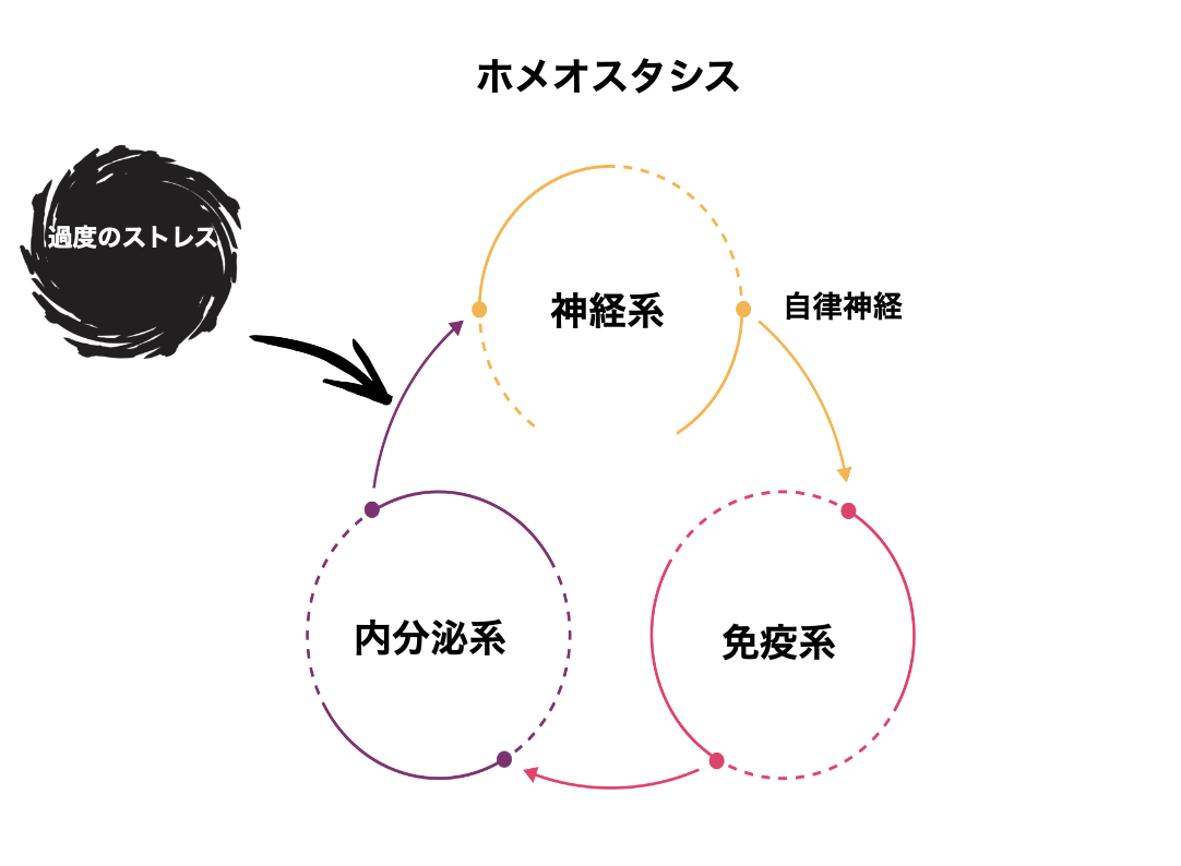 日積算UV-B量の年平均推移(kJ/㎡)