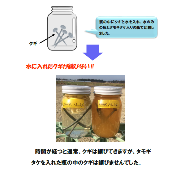 「エルゴチオネイン」とは？
