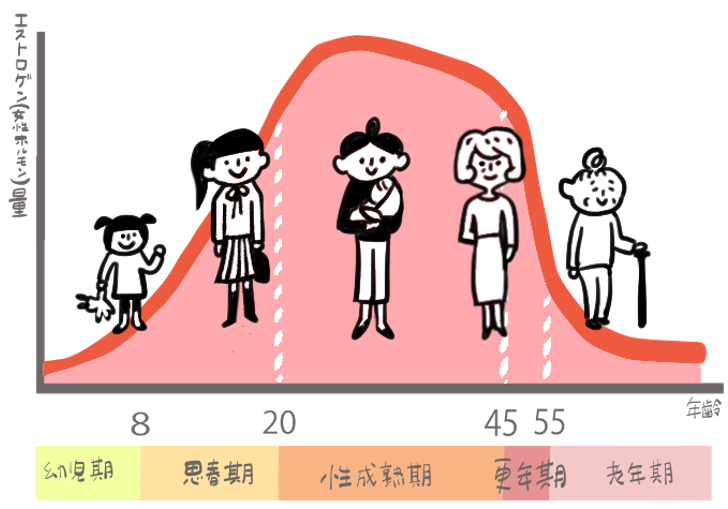 エストロゲン量