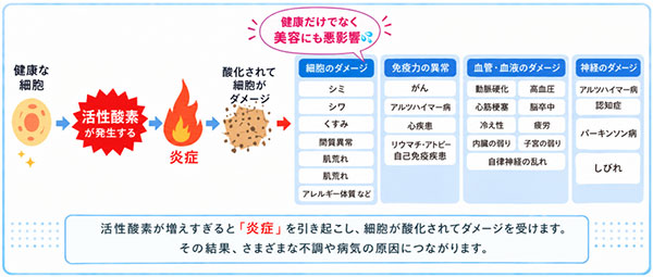 活性酸素