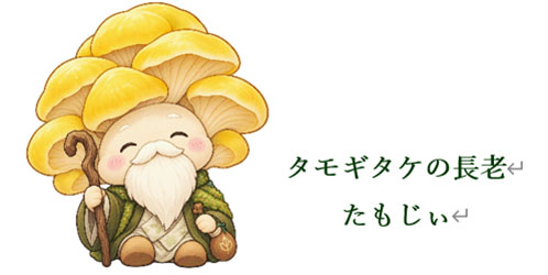 たもじぃ