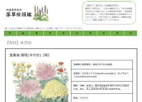 美しい絵とともに、『薬草絵図鑑』で生薬を身近に感じよう！