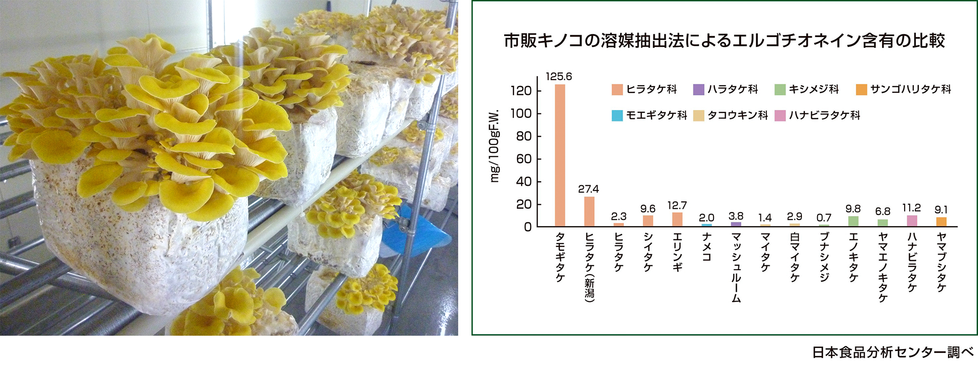 健康寿命 100年を目指す 永命