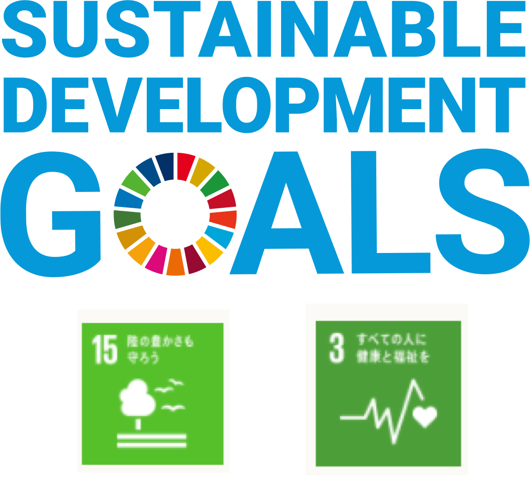 SUSTAINABLE  DEVELOPMENT  GOALS