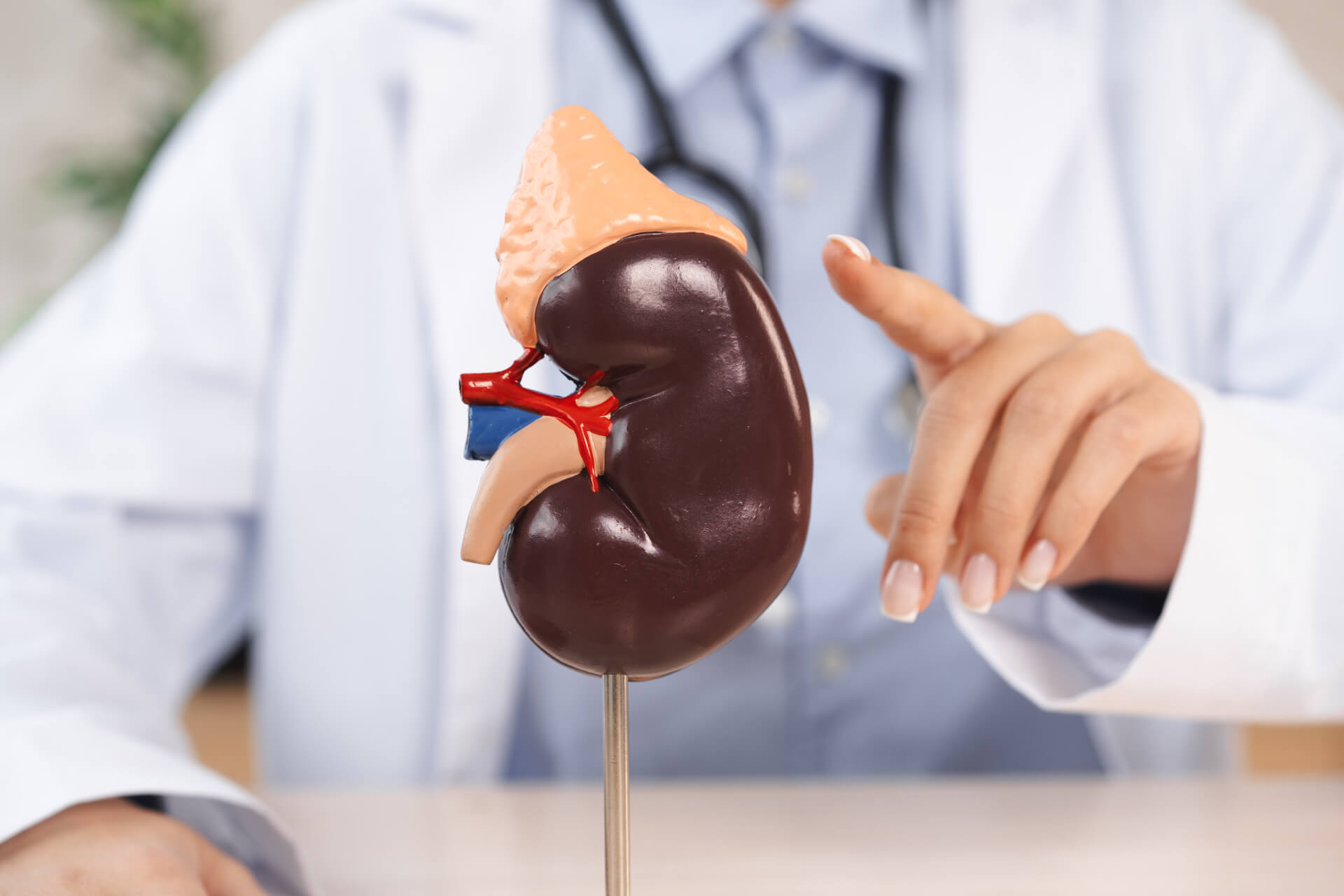 足のむくみと腎臓の関係とは？東洋医学における「腎」の考え方